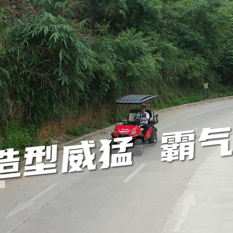 五菱户外休闲电动车